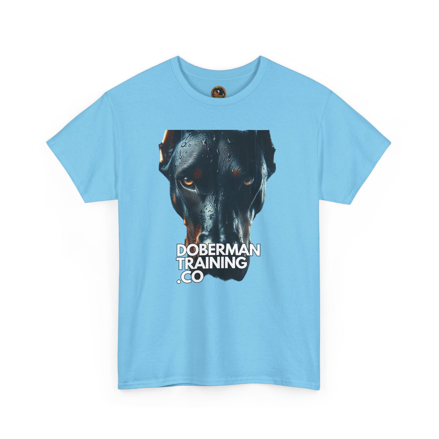Training Group 4 Private Lable Unisex Heavy Cotton Tee