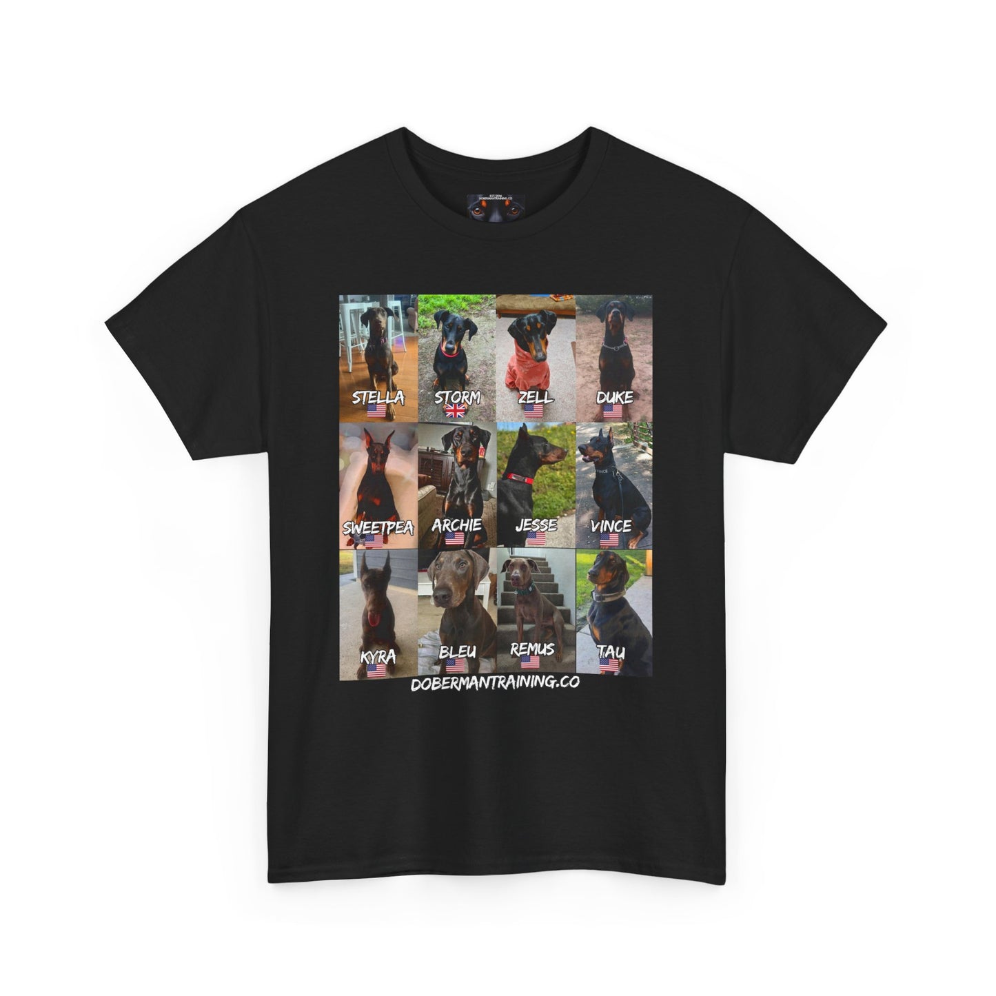Fam 1 Sit Private Lable Unisex Heavy Cotton Tee