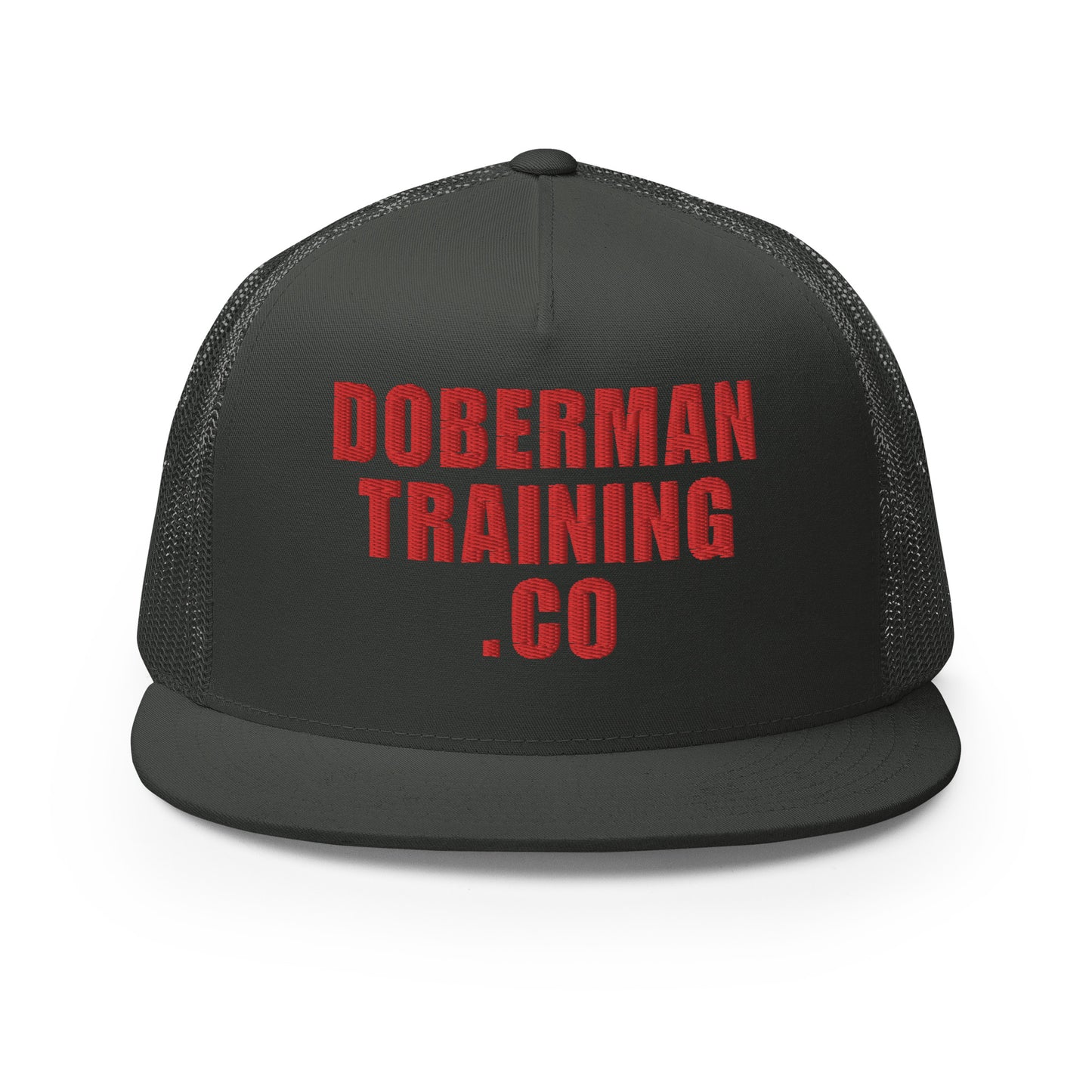DTC 2 Trucker Cap