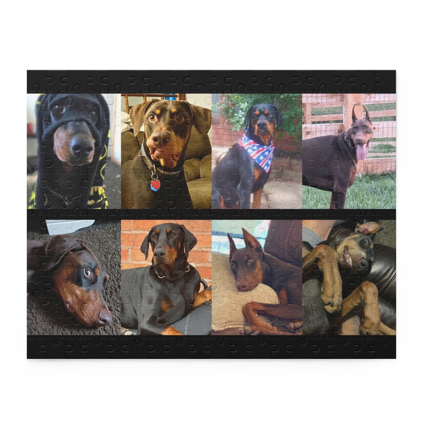 Limited Edition Doberman Community Jigsaw Puzzle 4