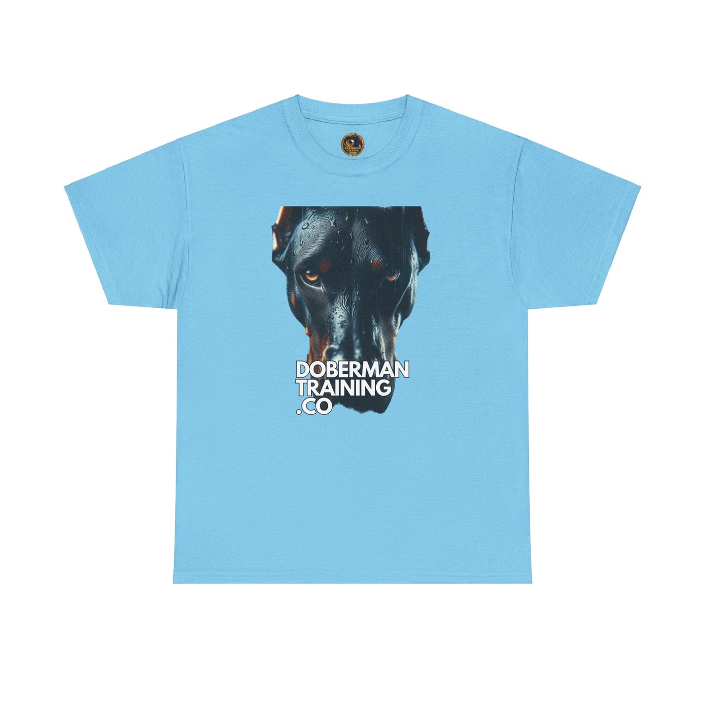 Training Group 4 Private Lable Unisex Heavy Cotton Tee