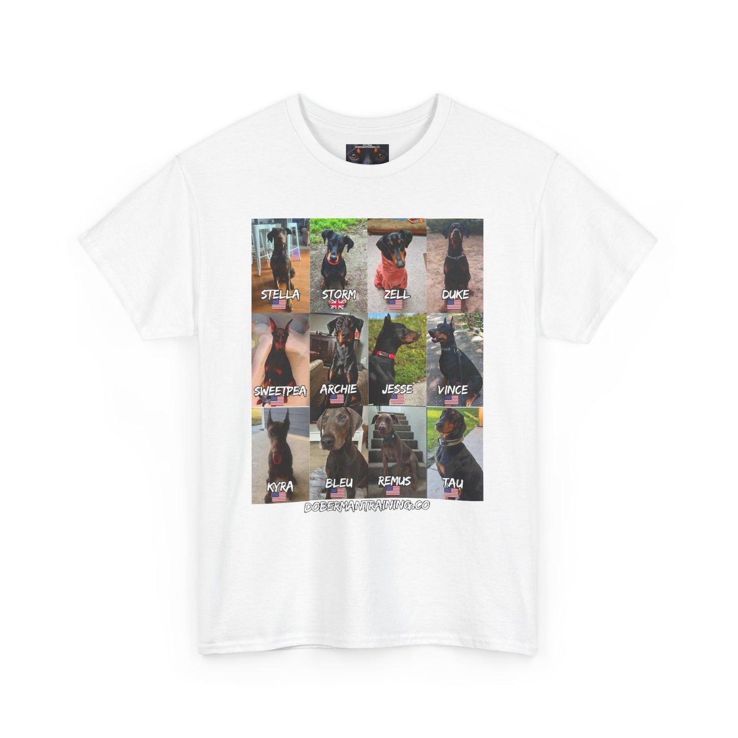 Fam 1 Sit Private Lable Unisex Heavy Cotton Tee
