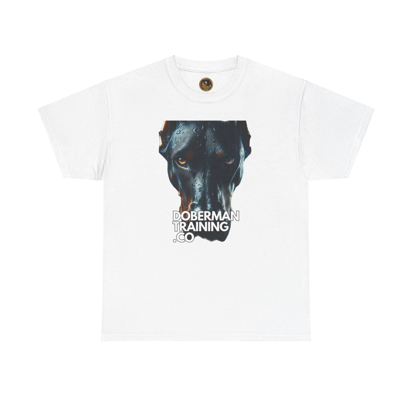 Training Group 4 Private Lable Unisex Heavy Cotton Tee