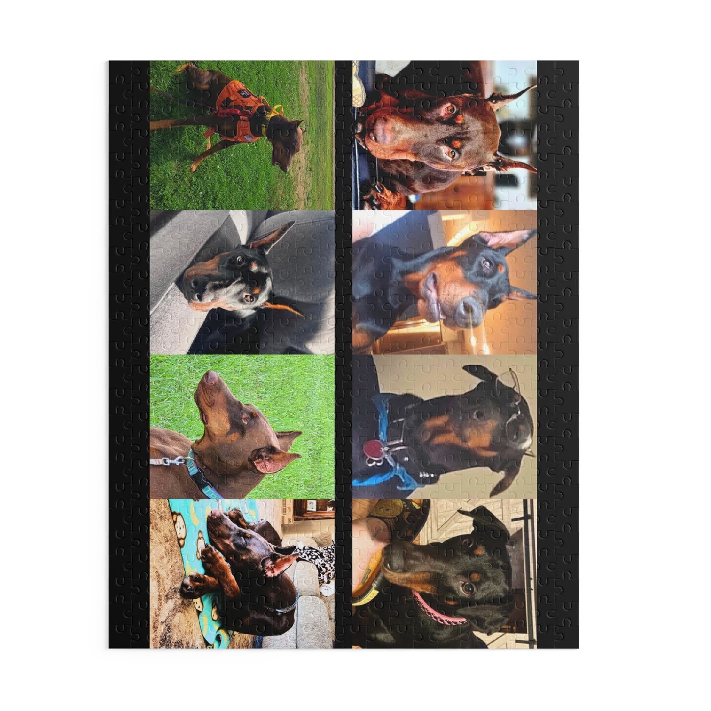 Limited Edition Doberman Community Jigsaw Puzzle 14
