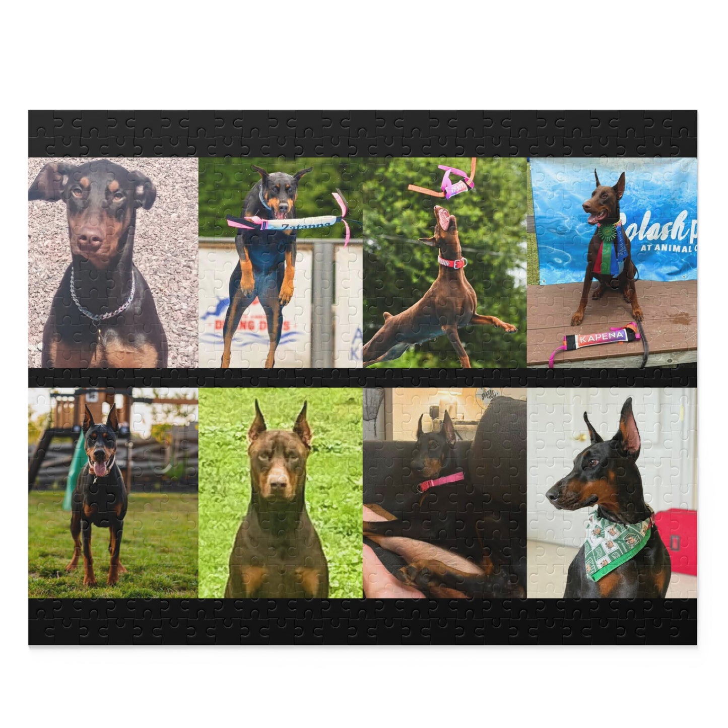 Limited Edition Doberman Community Jigsaw Puzzle 9