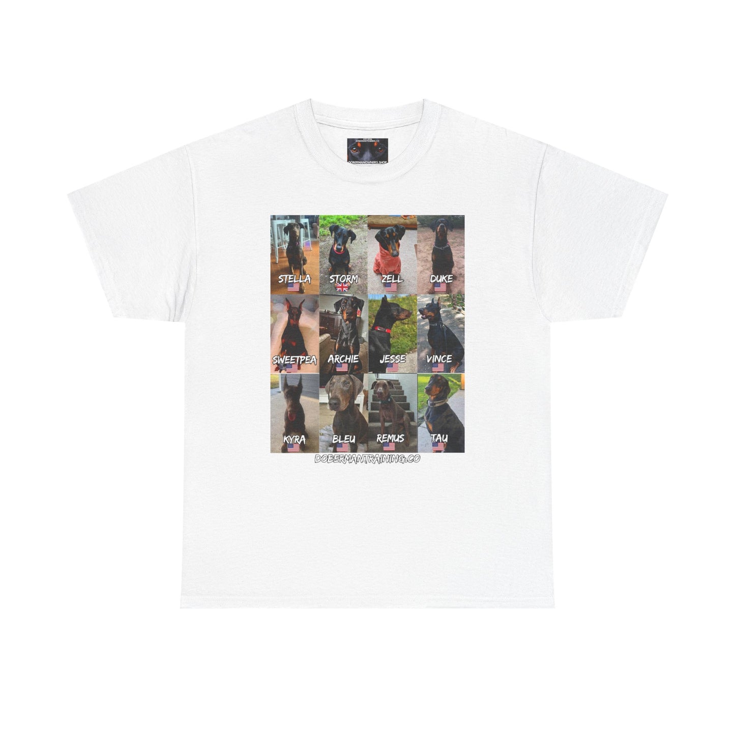 Fam 1 Sit Private Lable Unisex Heavy Cotton Tee
