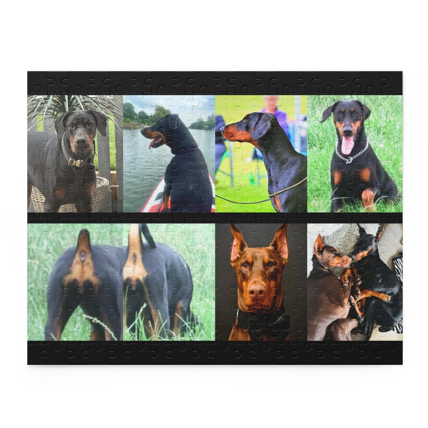 Limited Edition Doberman Community Jigsaw Puzzle 8