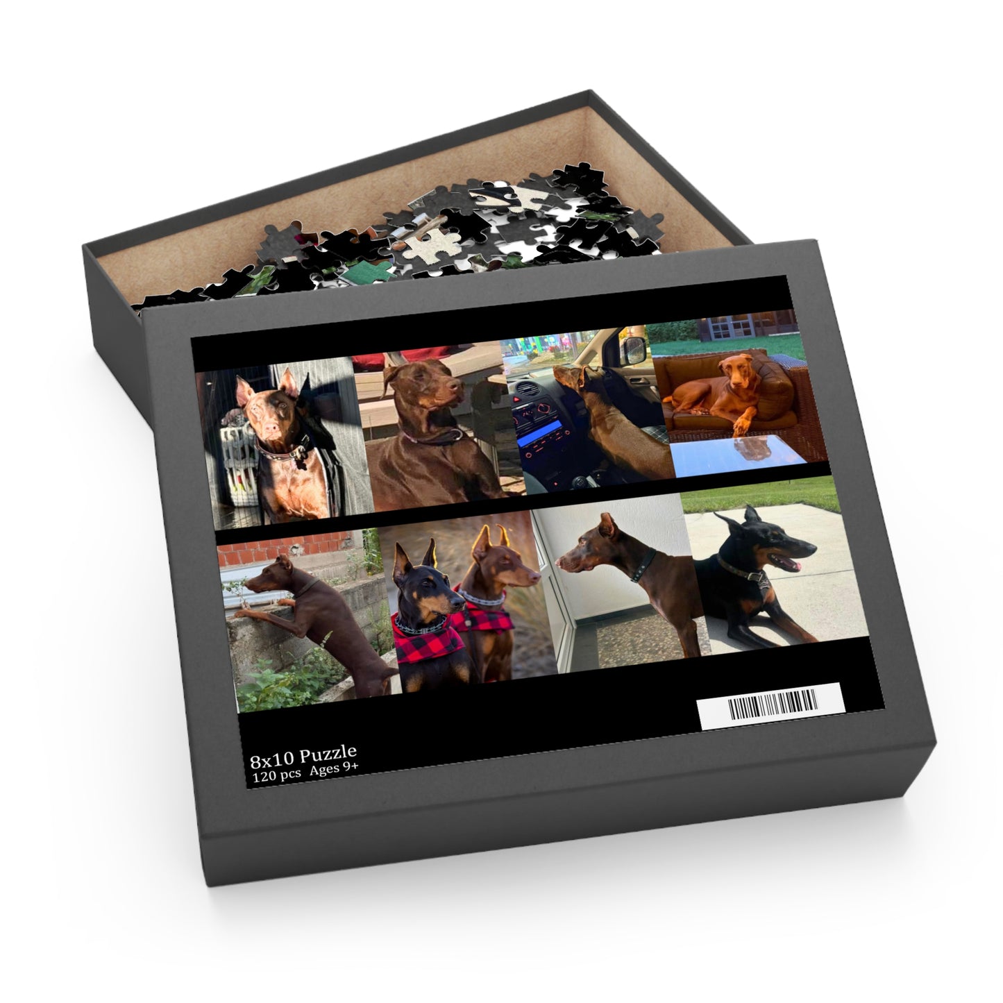 Limited Edition Doberman Community Jigsaw Puzzle 5