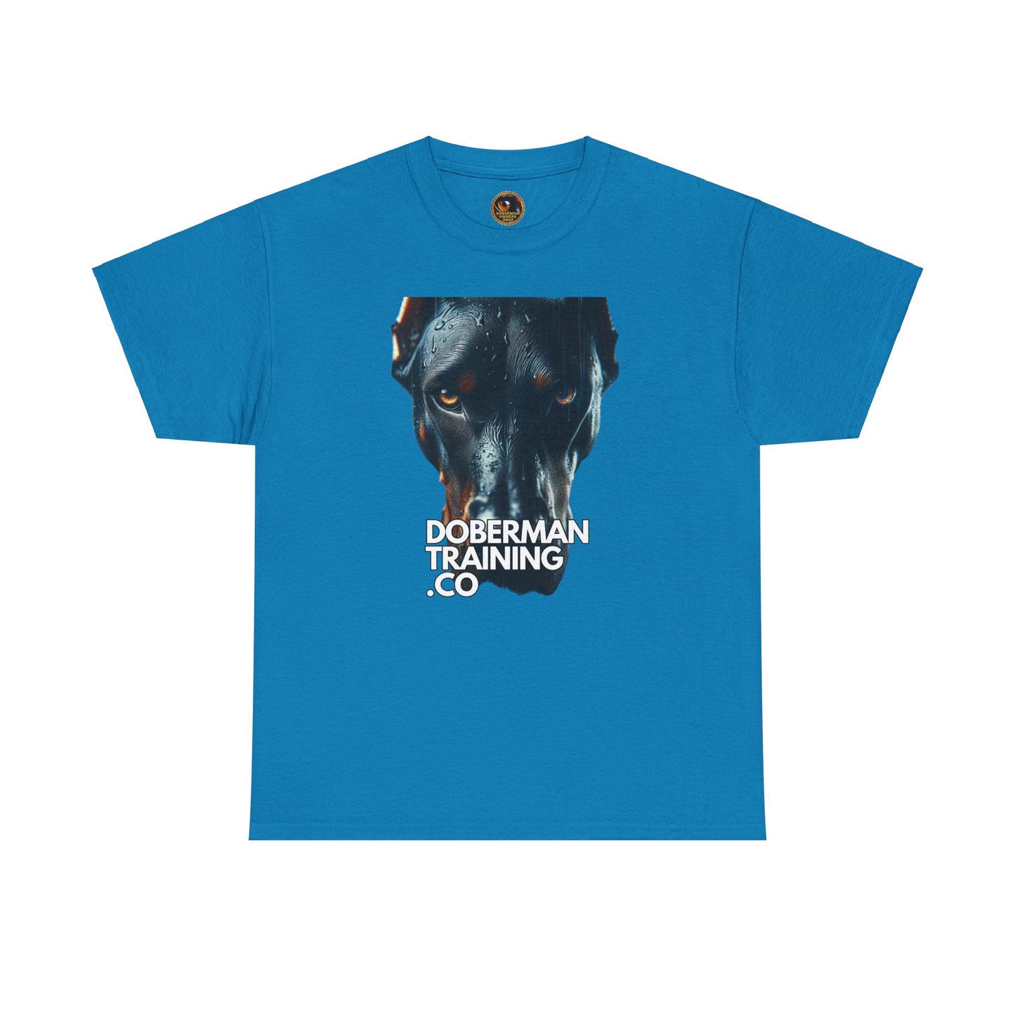 Training Group 4 Private Lable Unisex Heavy Cotton Tee
