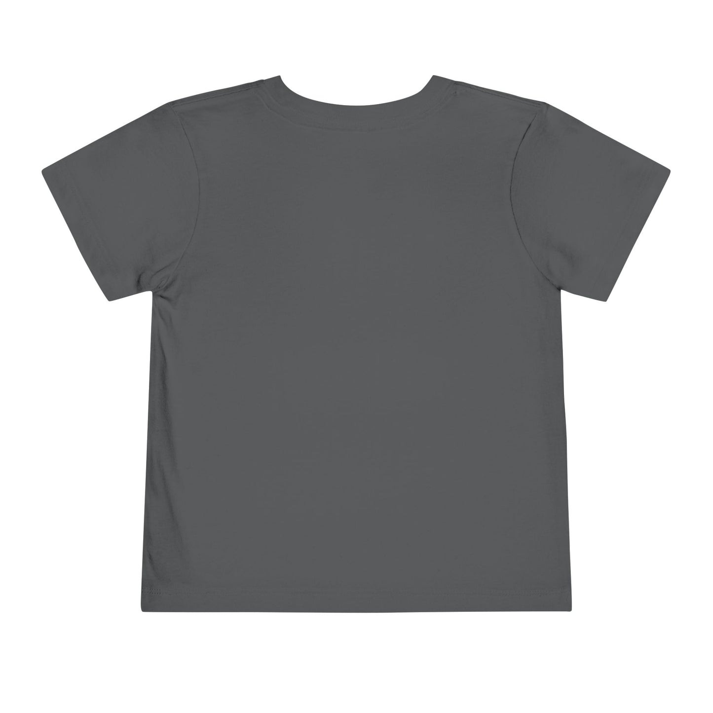 Doberman Facts 1 Toddler Short Sleeve Tee