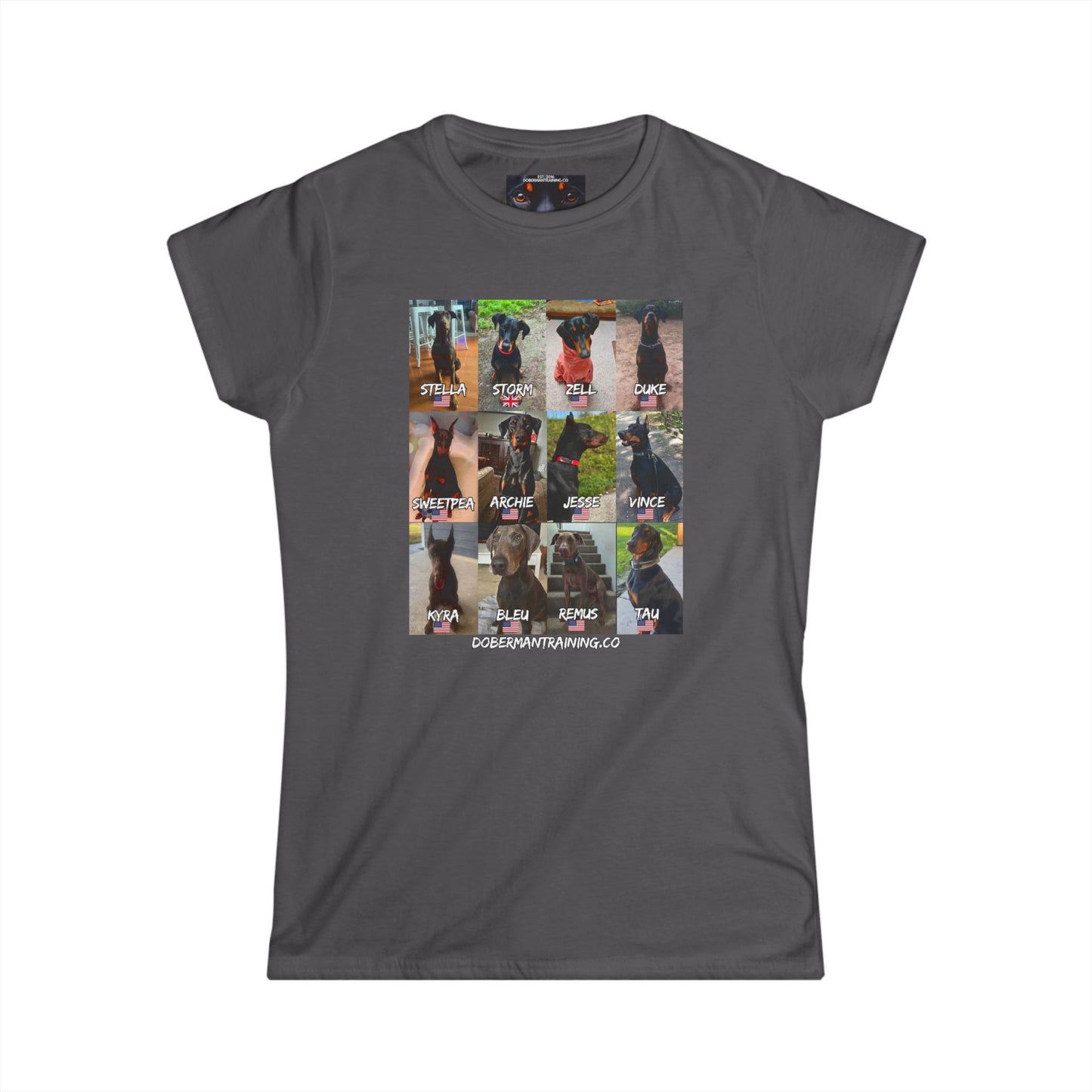 Fam 1 Sit Women's Softstyle Tee
