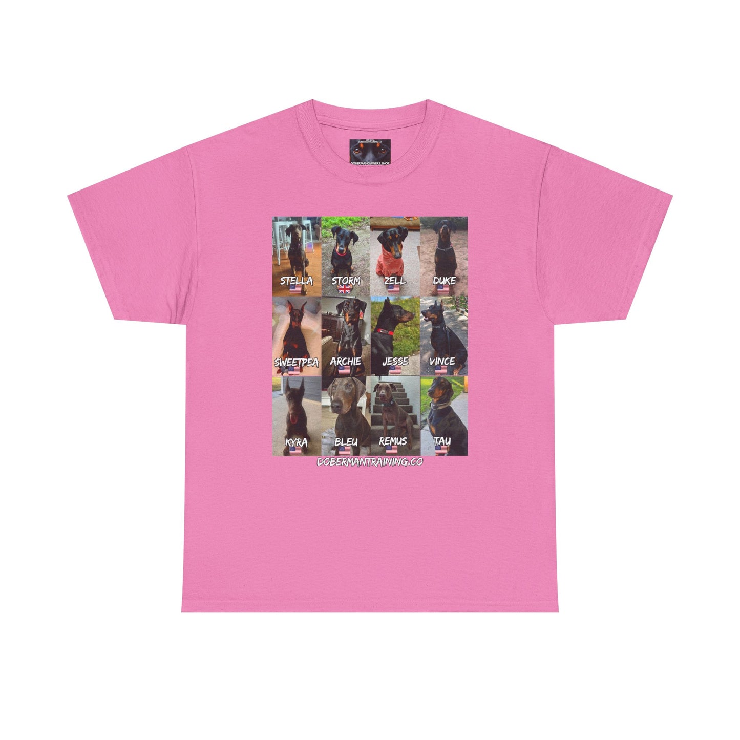 Fam 1 Sit Private Lable Unisex Heavy Cotton Tee