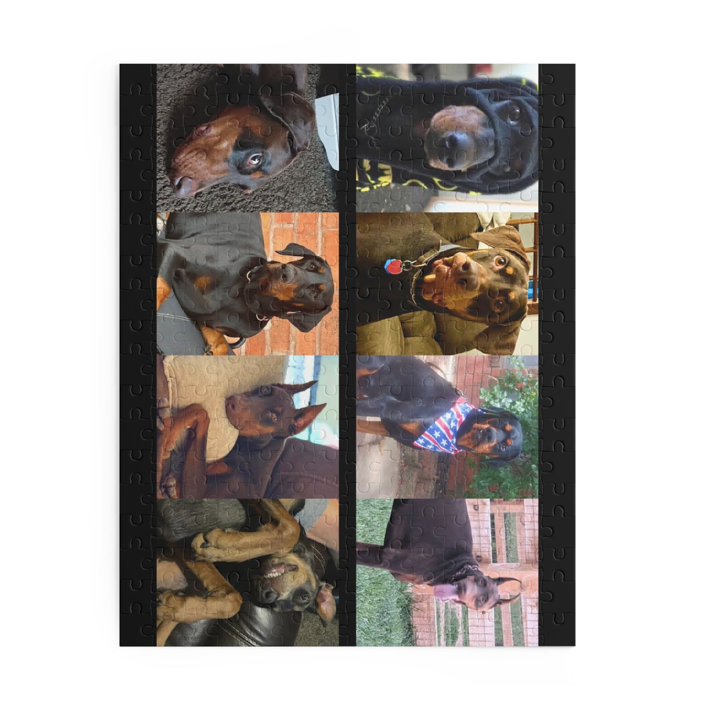 Limited Edition Doberman Community Jigsaw Puzzle 4