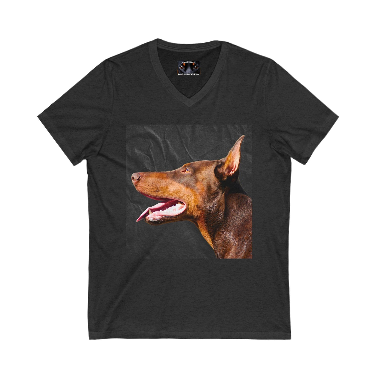The Look 2 Private Label Unisex Jersey Short Sleeve V-Neck Tee