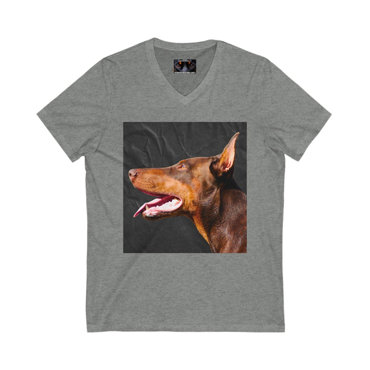 The Look 2 Private Label Unisex Jersey Short Sleeve V-Neck Tee