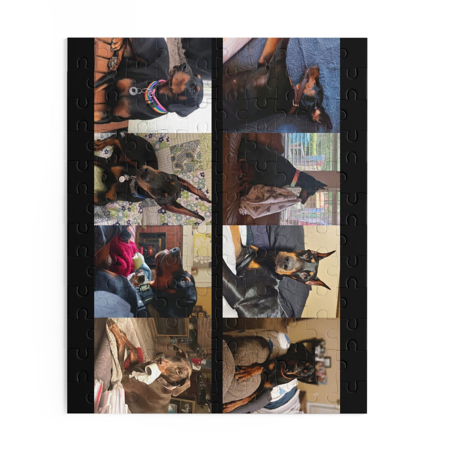 Limited Edition Doberman Community Jigsaw Puzzle 3