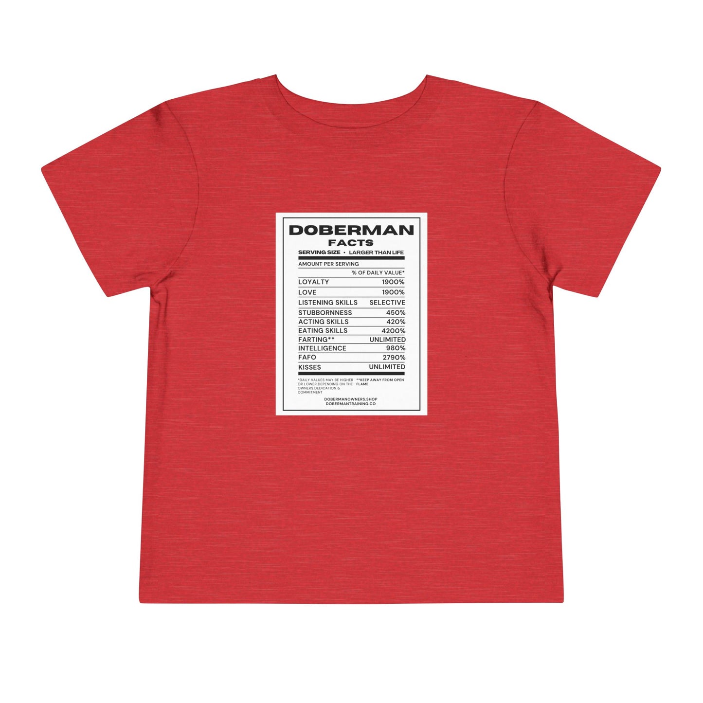 Doberman Facts 1 Toddler Short Sleeve Tee