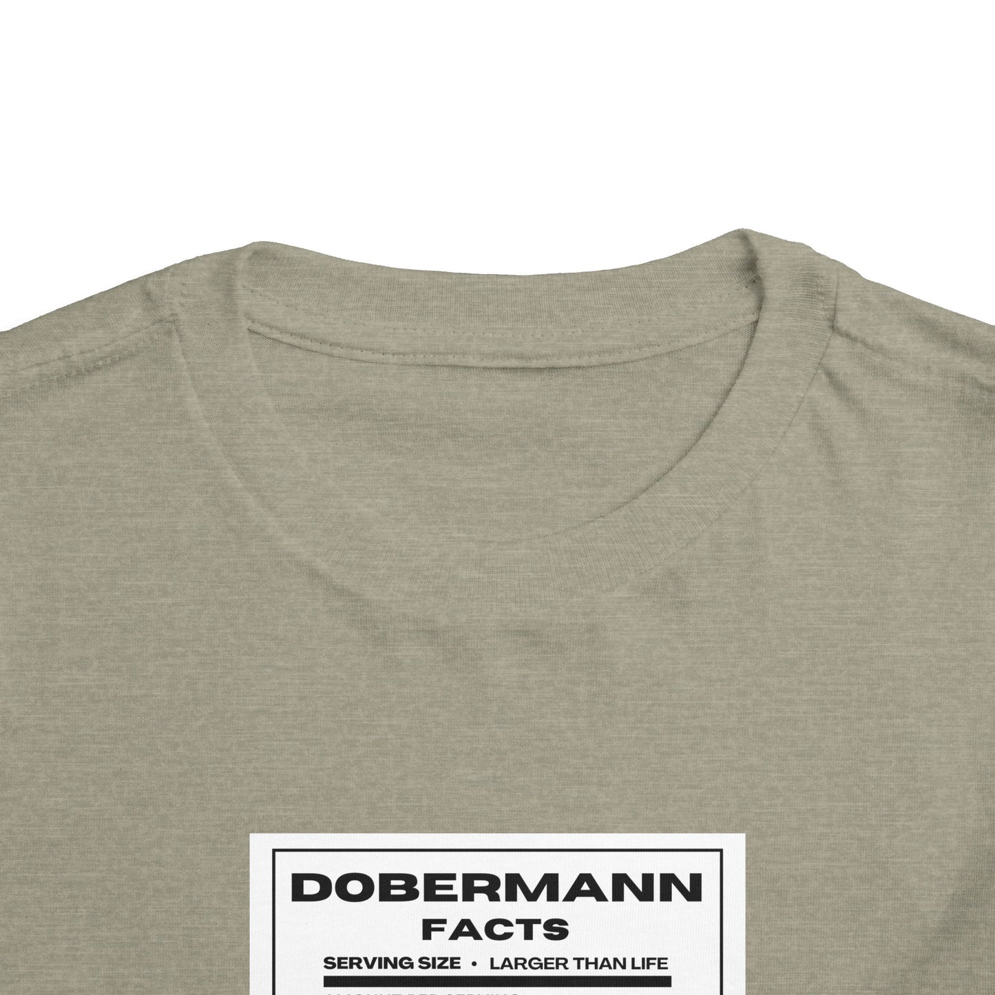 Dobermann Facts 1 Toddler Short Sleeve Tee