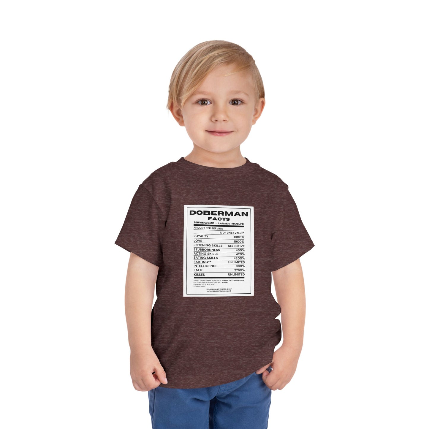 Doberman Facts 1 Toddler Short Sleeve Tee