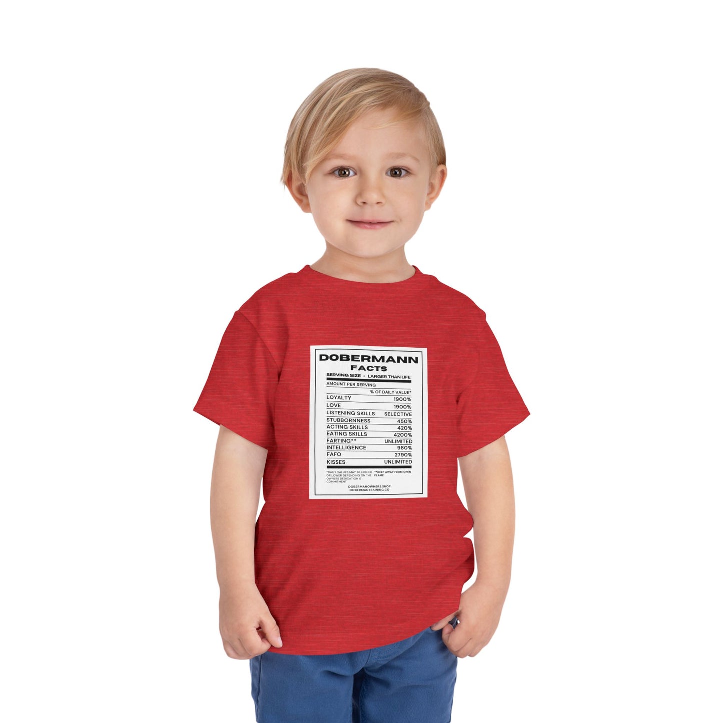 Dobermann Facts 1 Toddler Short Sleeve Tee