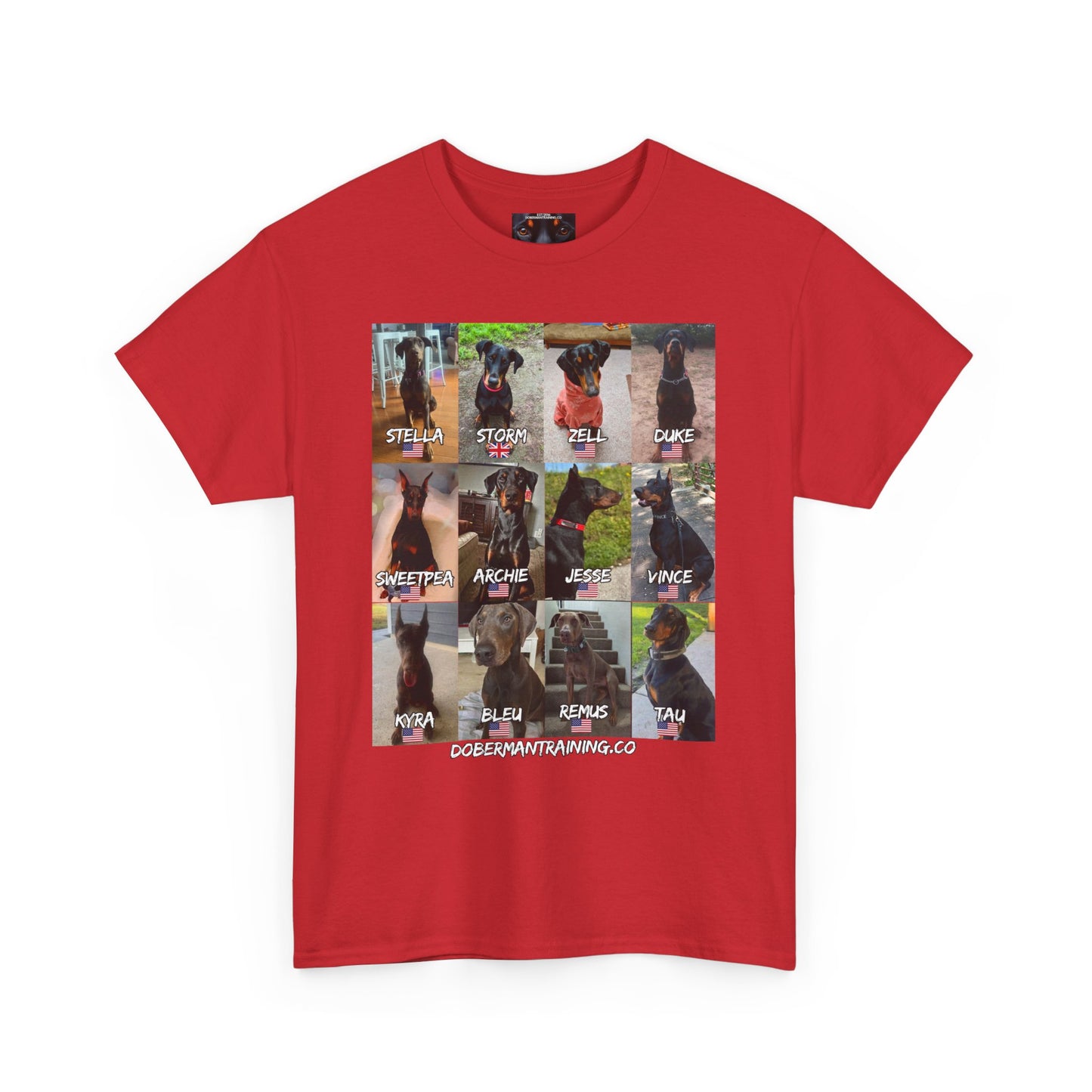 Fam 1 Sit Private Lable Unisex Heavy Cotton Tee
