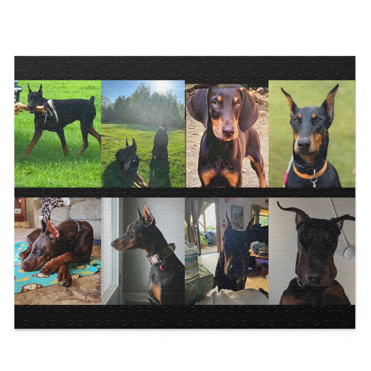 Limited Edition Doberman Community Jigsaw Puzzle 2