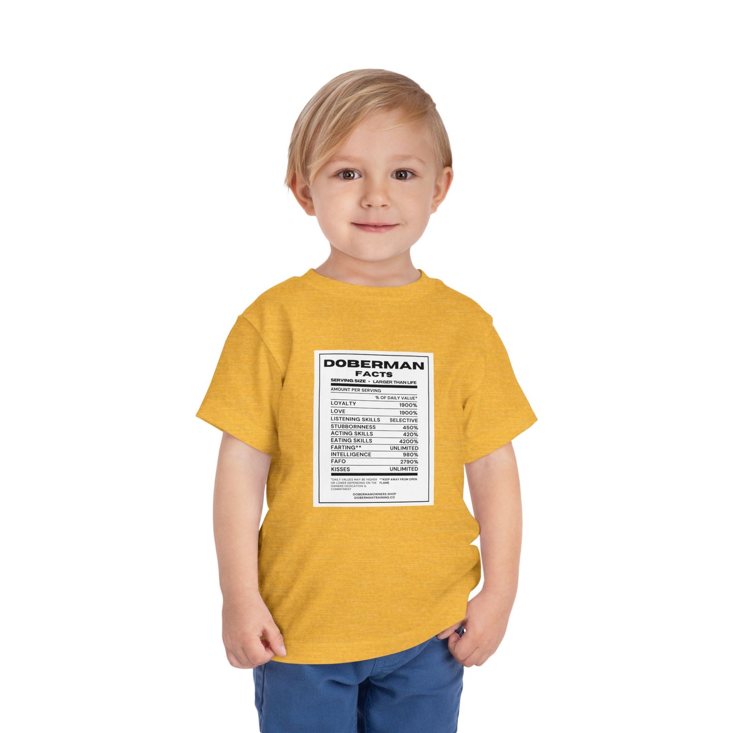 Doberman Facts 1 Toddler Short Sleeve Tee
