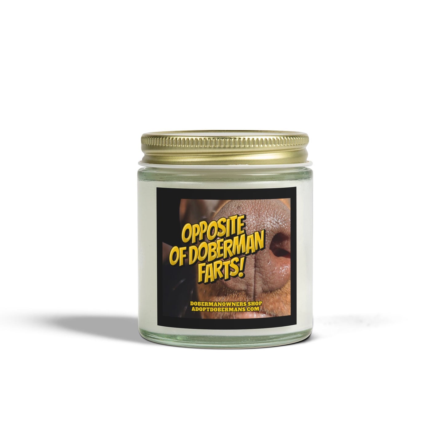 OODF Scented Coconut Apricot Candles (4oz, 9oz)