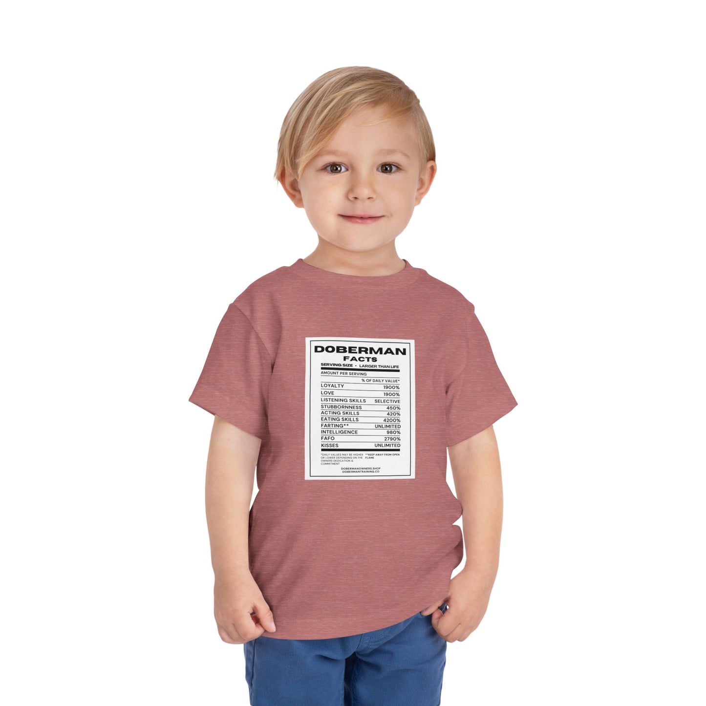 Doberman Facts 1 Toddler Short Sleeve Tee
