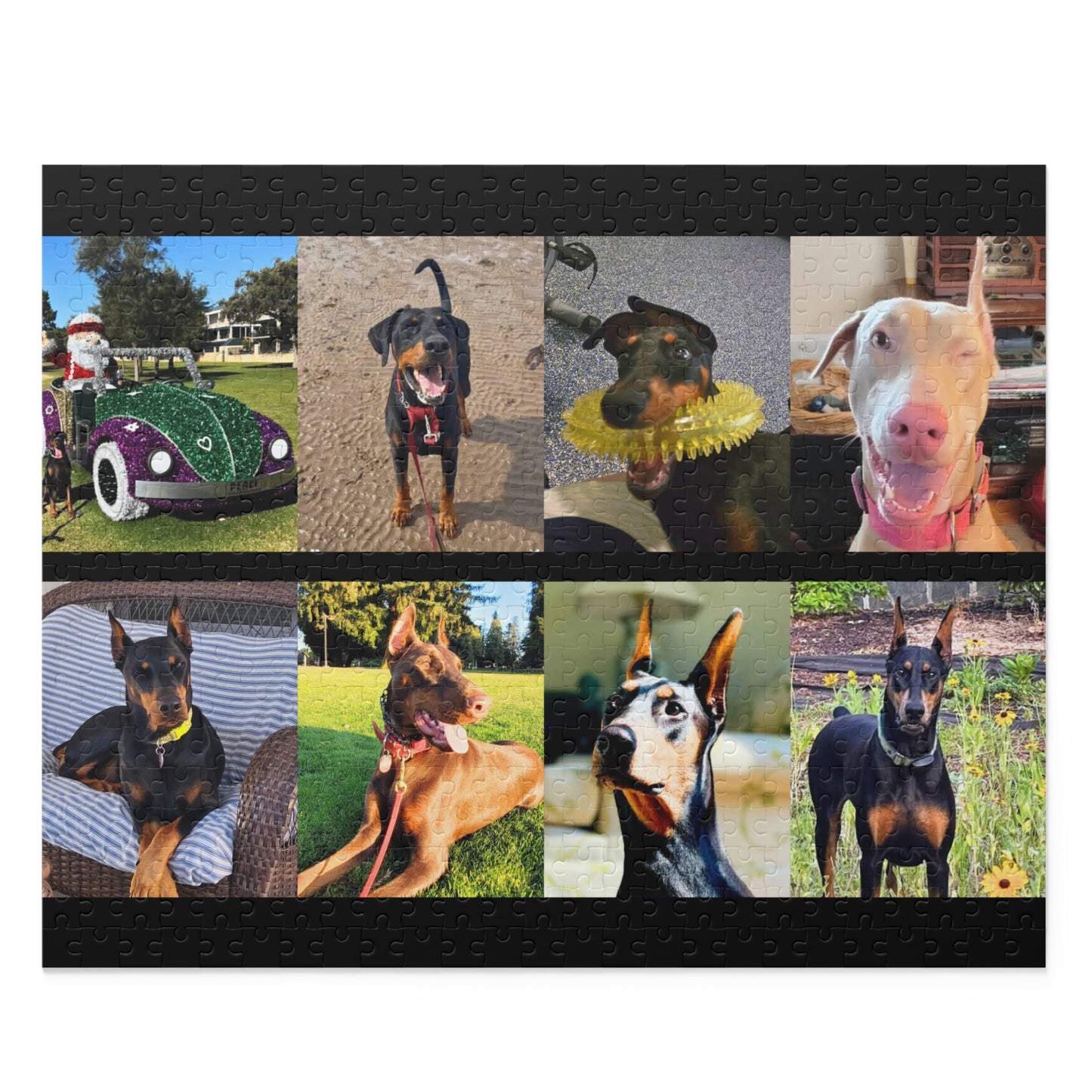 Limited Edition Doberman Community Jigsaw Puzzle 12