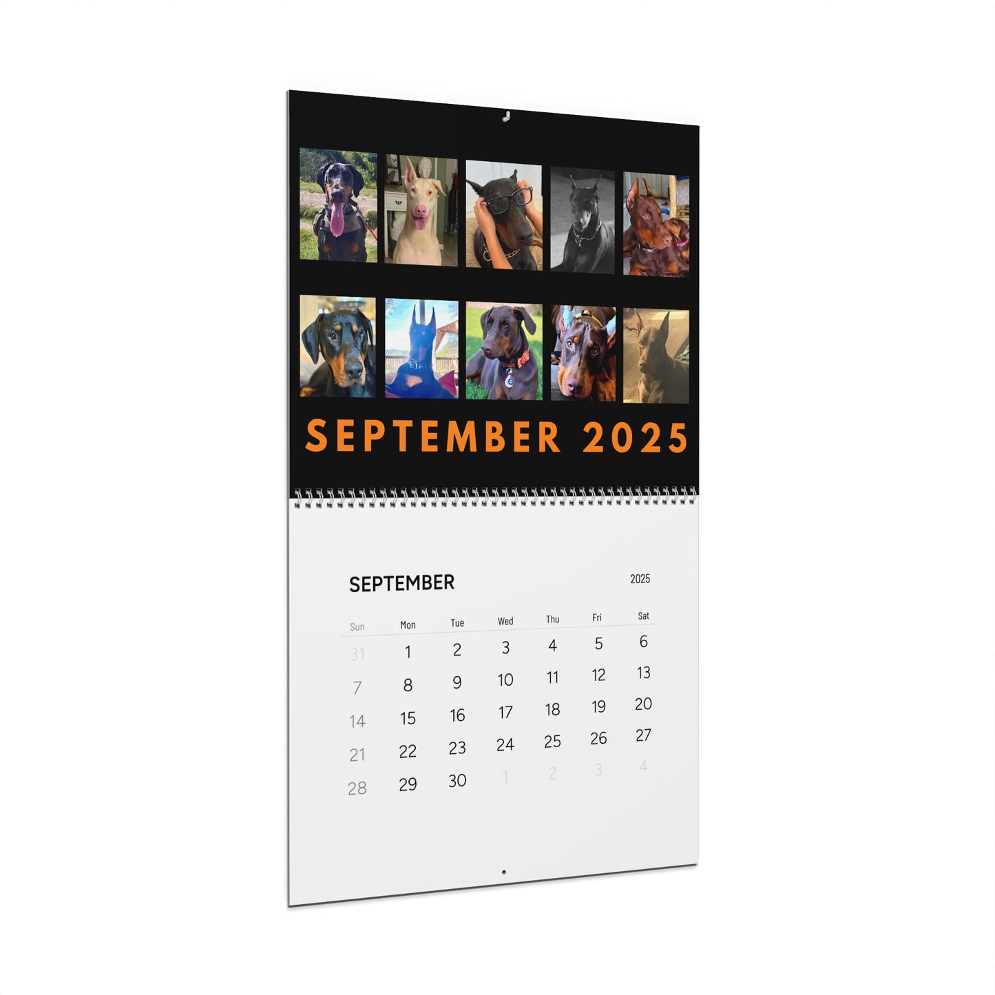 Doberman DTT 6th USA Edition Wall Calendars (2025)