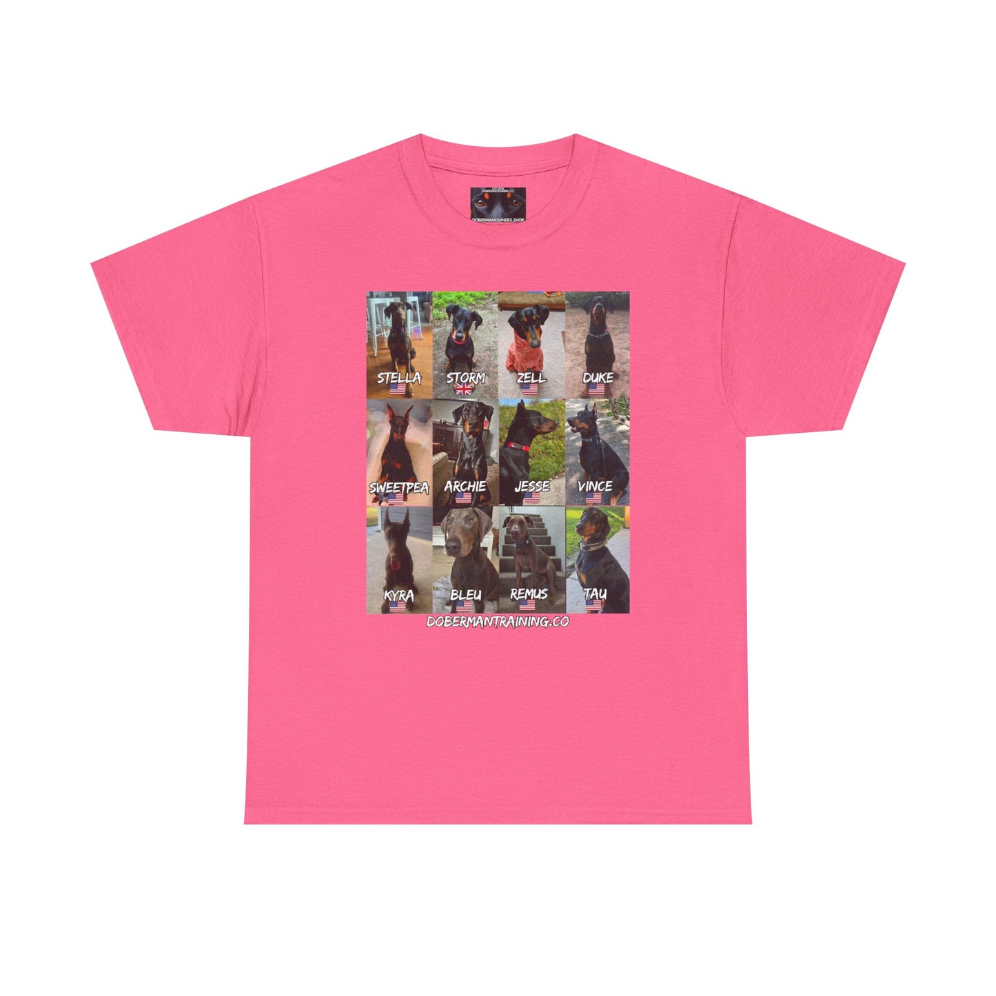 Fam 1 Sit Private Lable Unisex Heavy Cotton Tee