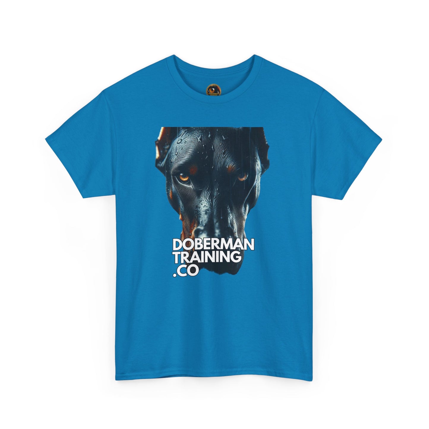 Training Group 4 Private Lable Unisex Heavy Cotton Tee