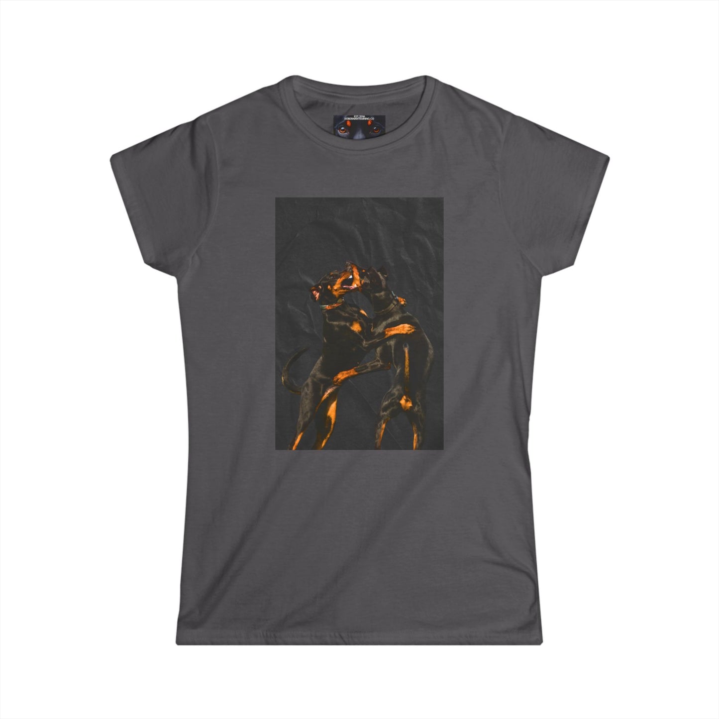The Dance Women's Softstyle Tee