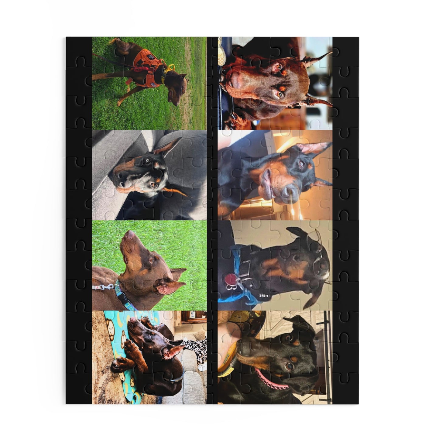 Limited Edition Doberman Community Jigsaw Puzzle 14
