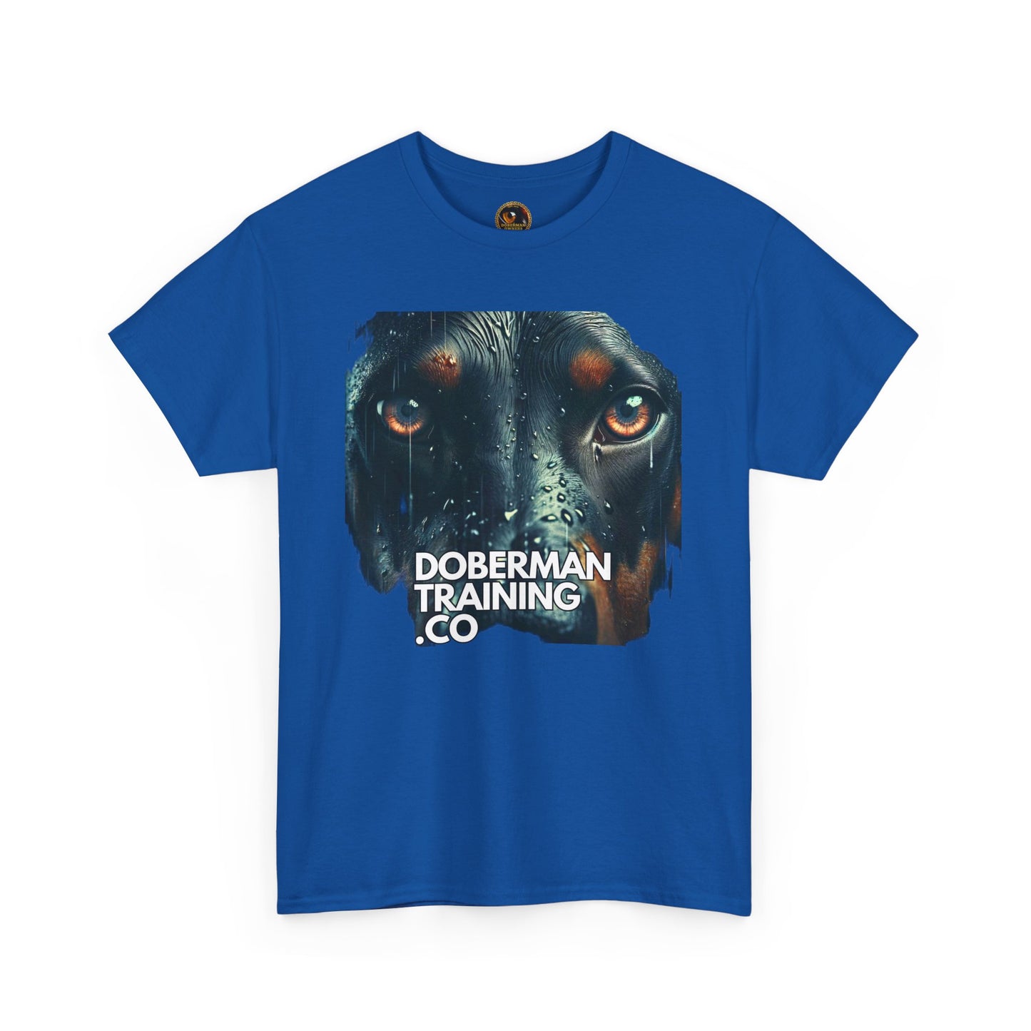 Training Group 2 Private Lable Unisex Heavy Cotton Tee