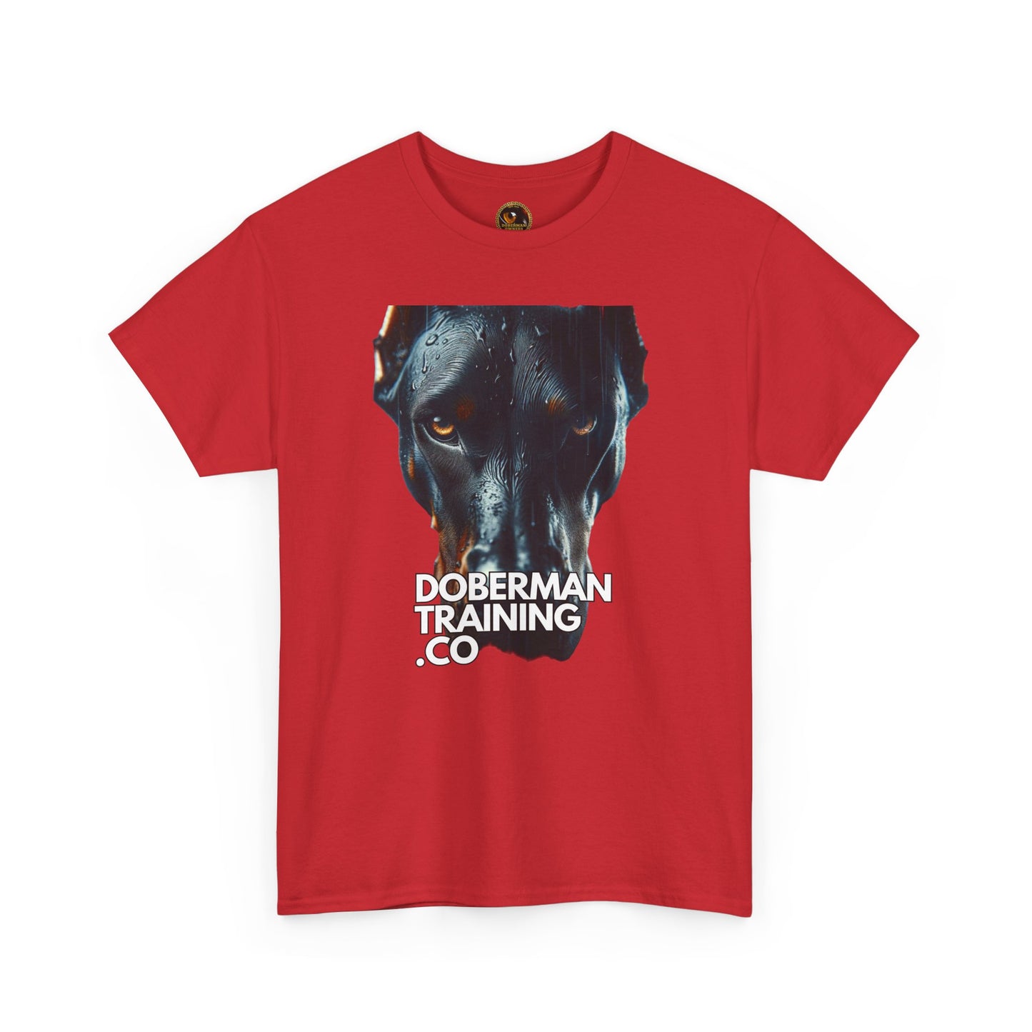 Training Group 4 Private Lable Unisex Heavy Cotton Tee