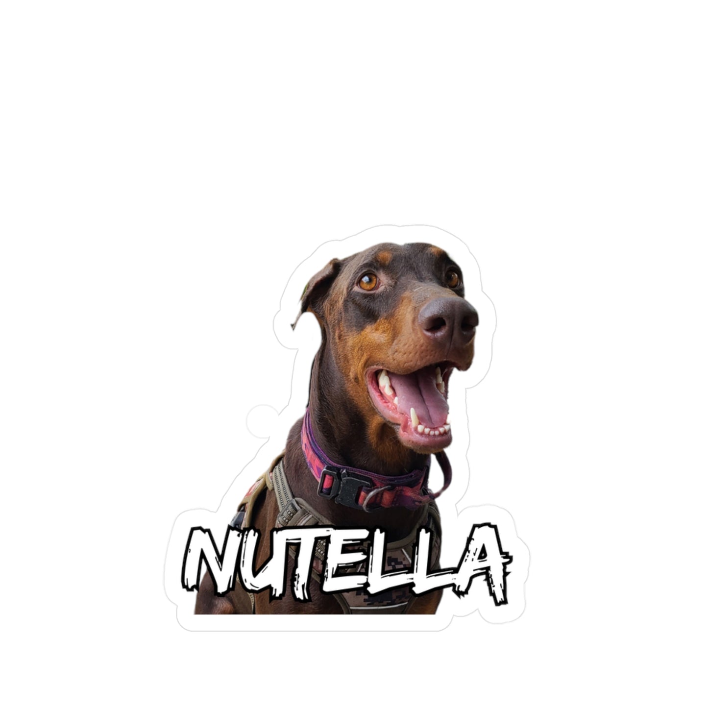 Regal Custom Doberman Vinyl Decals