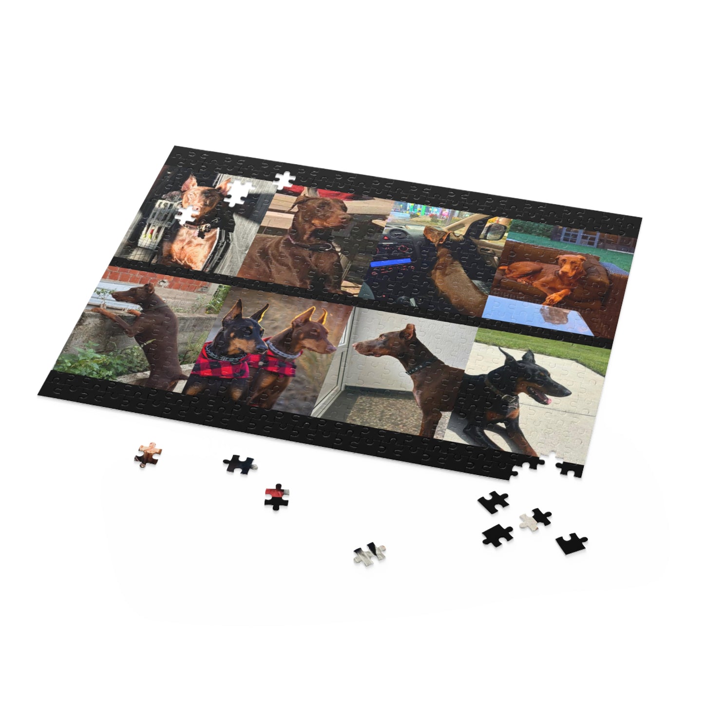 Limited Edition Doberman Community Jigsaw Puzzle 5