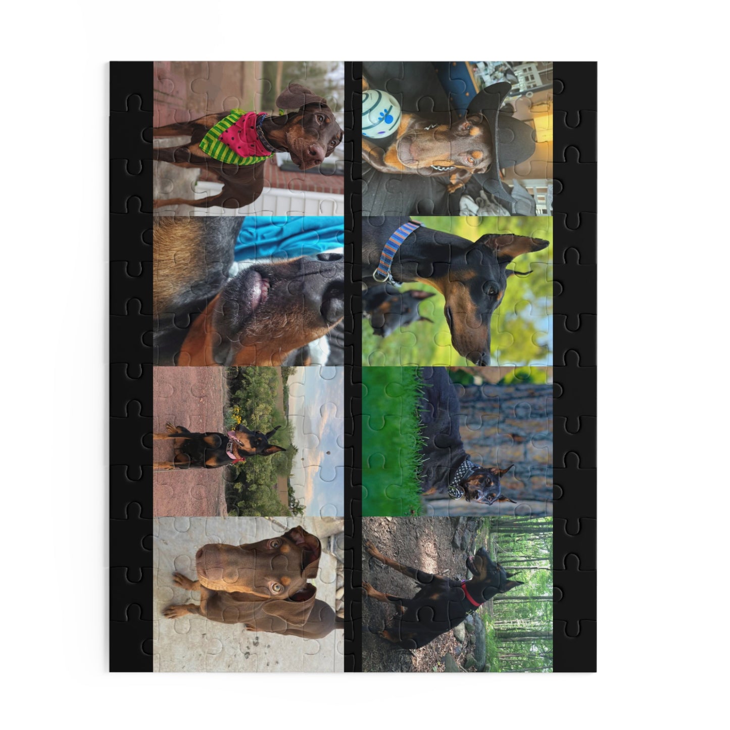 Limited Edition Doberman Community Jigsaw Puzzle 1
