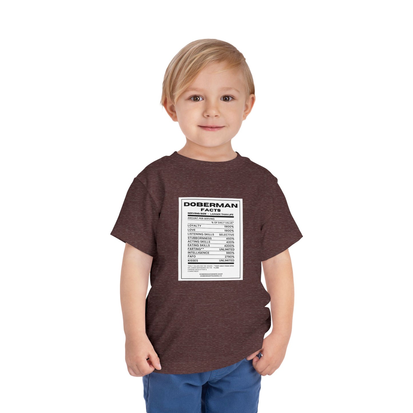 Doberman Facts 1 Toddler Short Sleeve Tee