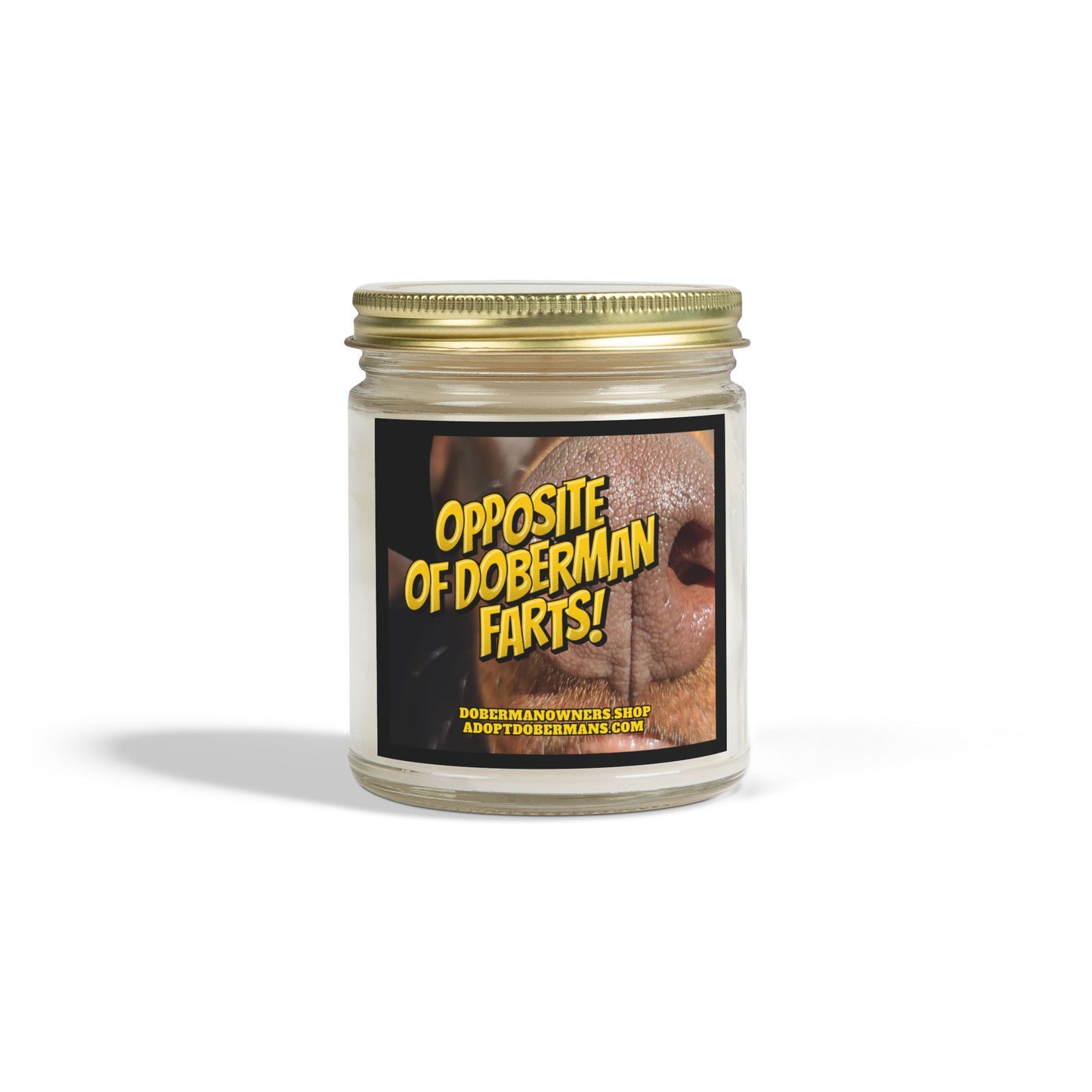 OODF Scented Coconut Apricot Candles (4oz, 9oz)