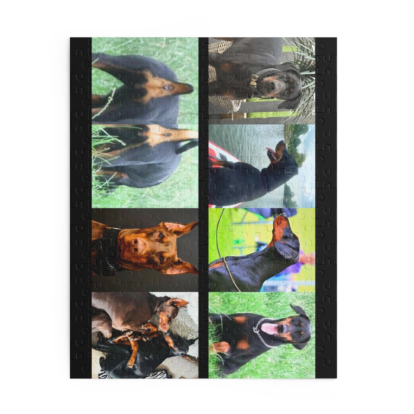 Limited Edition Doberman Community Jigsaw Puzzle 8