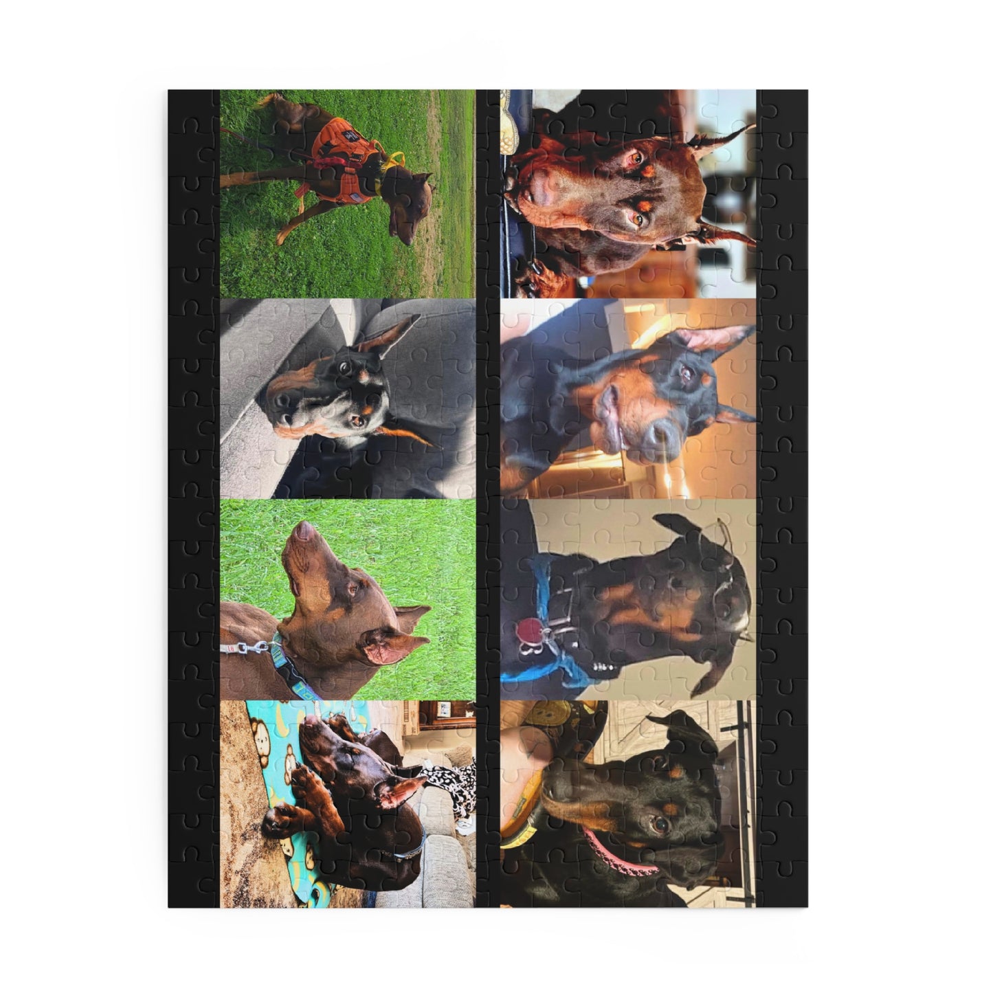 Limited Edition Doberman Community Jigsaw Puzzle 14