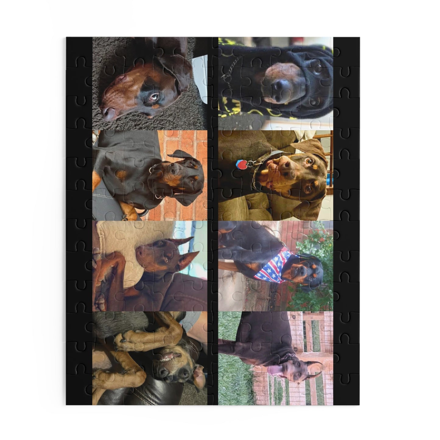 Limited Edition Doberman Community Jigsaw Puzzle 4