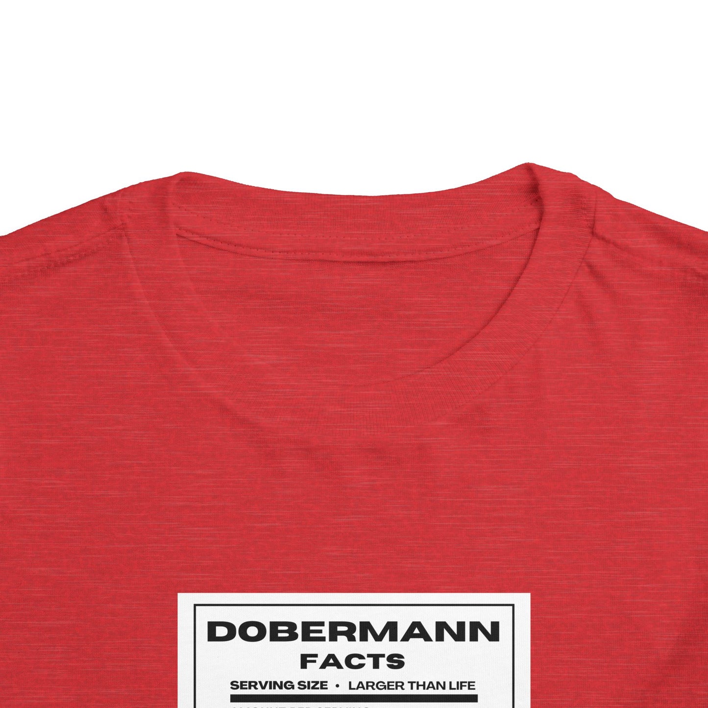 Dobermann Facts 1 Toddler Short Sleeve Tee