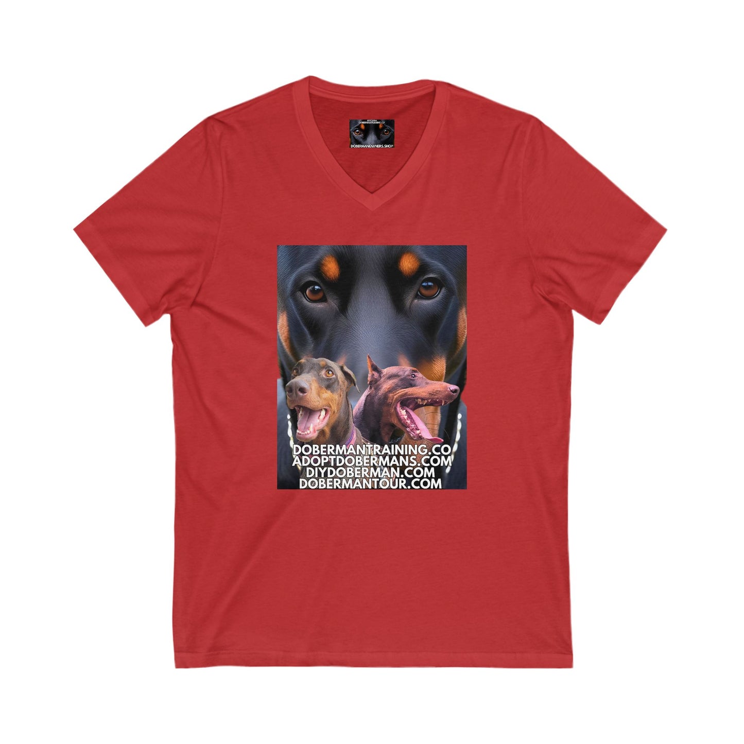 Training Tour 1 Private Label Unisex Jersey Short Sleeve V-Neck Tee