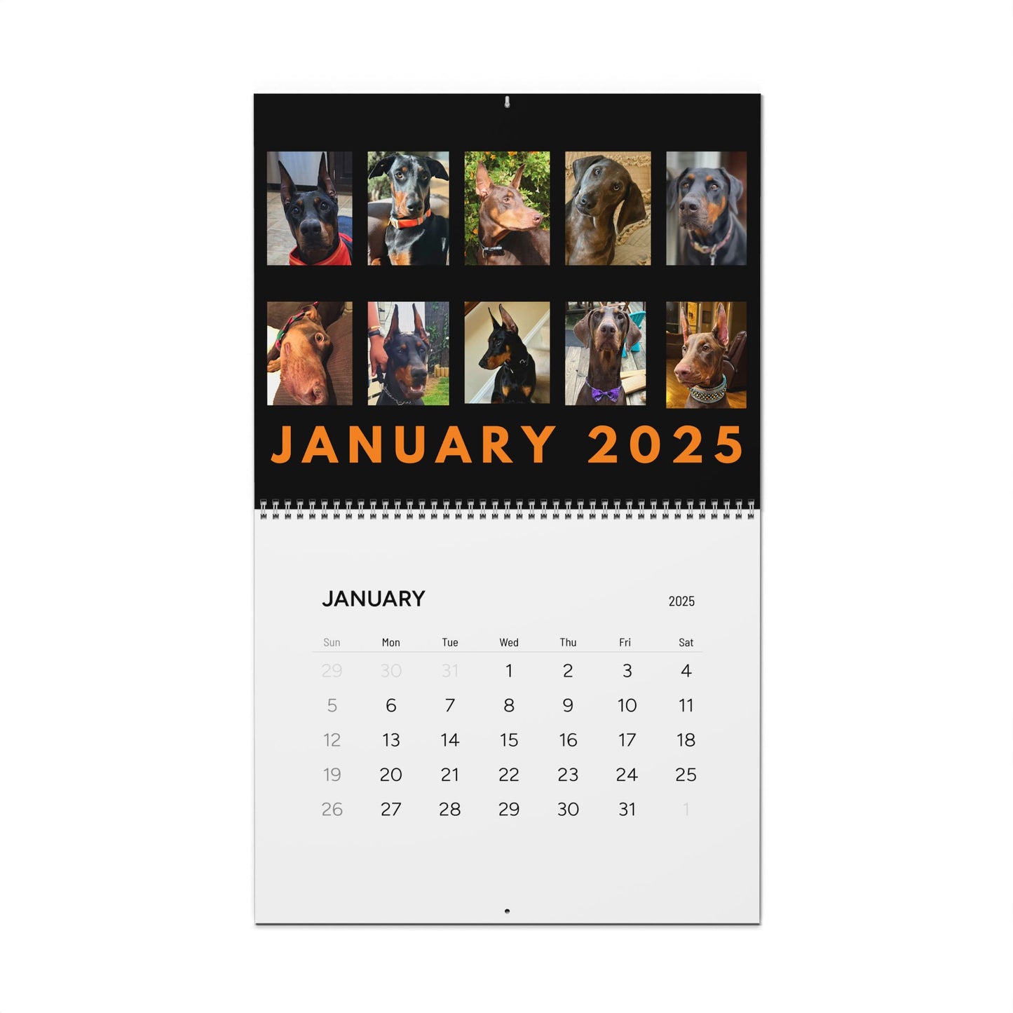 Doberman DTT 6th USA Edition Wall Calendars (2025)