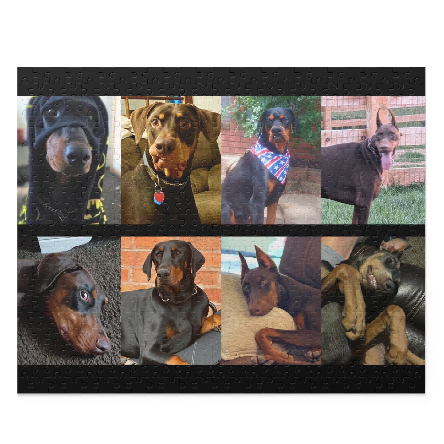 Limited Edition Doberman Community Jigsaw Puzzle 4