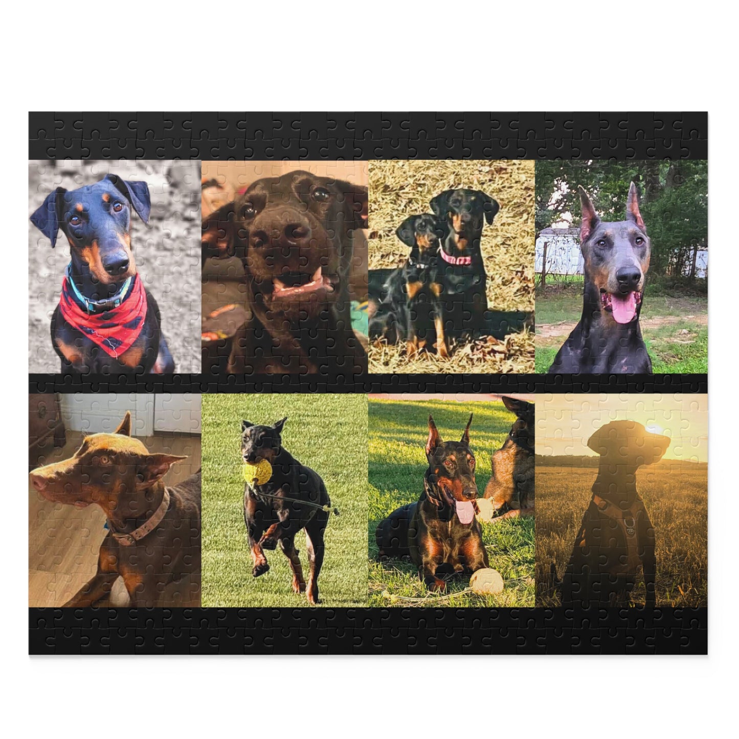 Limited Edition Doberman Community Jigsaw Puzzle 13